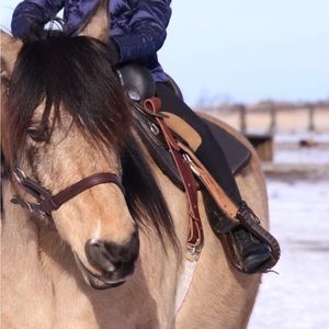 Elation Platinum Breeches, Full seat, show breeches, kids size 6